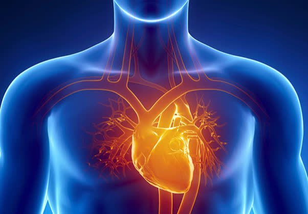 Senior couple jogging and staying active